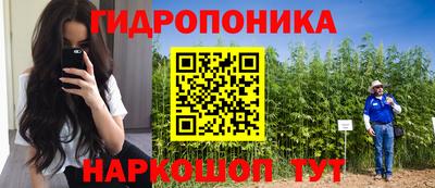 сатива Малгобек