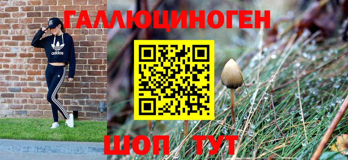Ступино  Псилоцибиновые грибы ЛСД  Вход с VPN  Галлюциногенные грибы Cubensis 